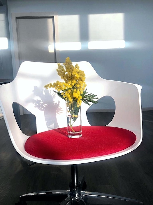 Workey Coworking Torino celebra la Giornata internazionale della Donna